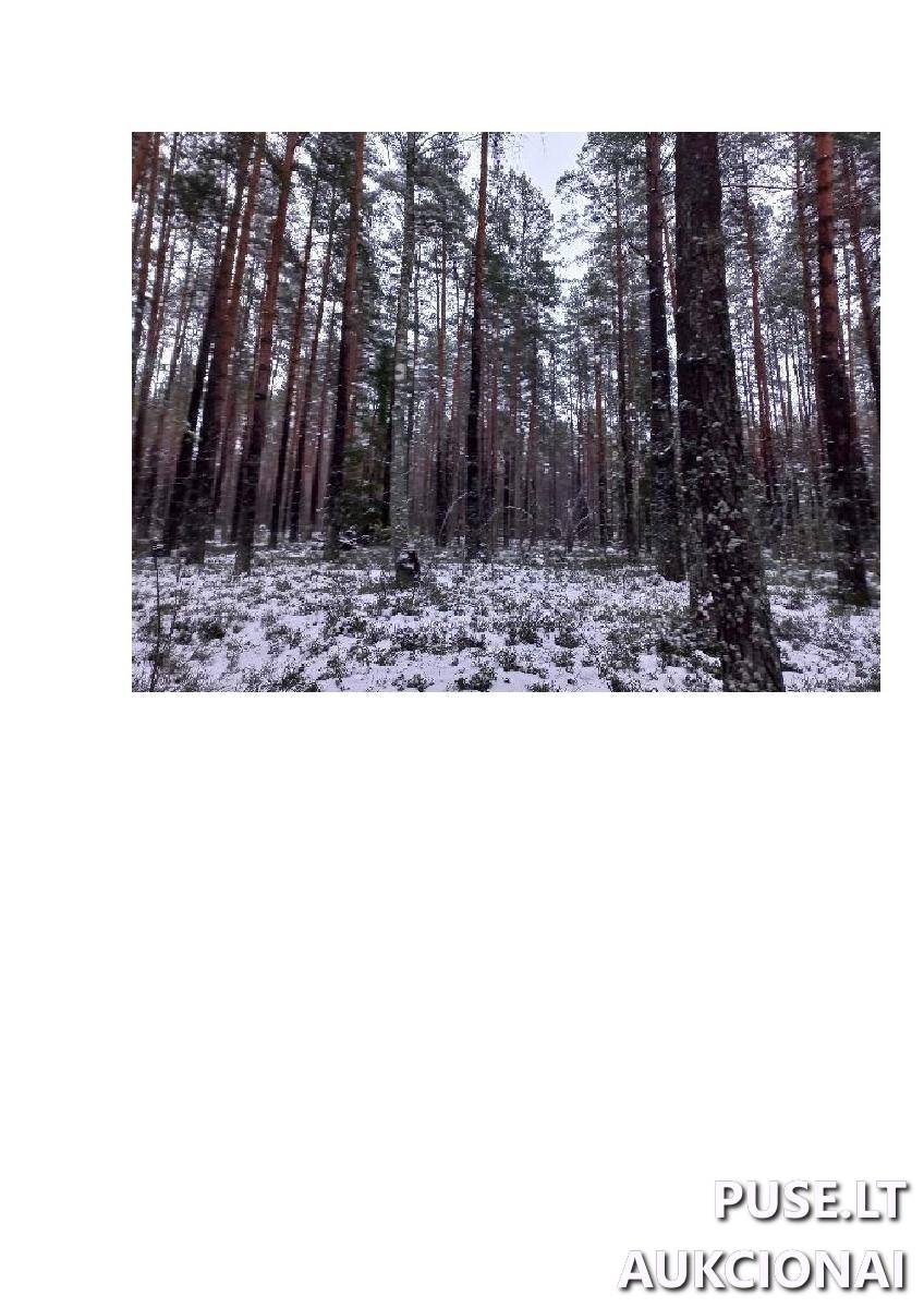 Žemės sklypas Sklypai Vergakiemis, Jakėnų sen., Varėnos r. sav. 6