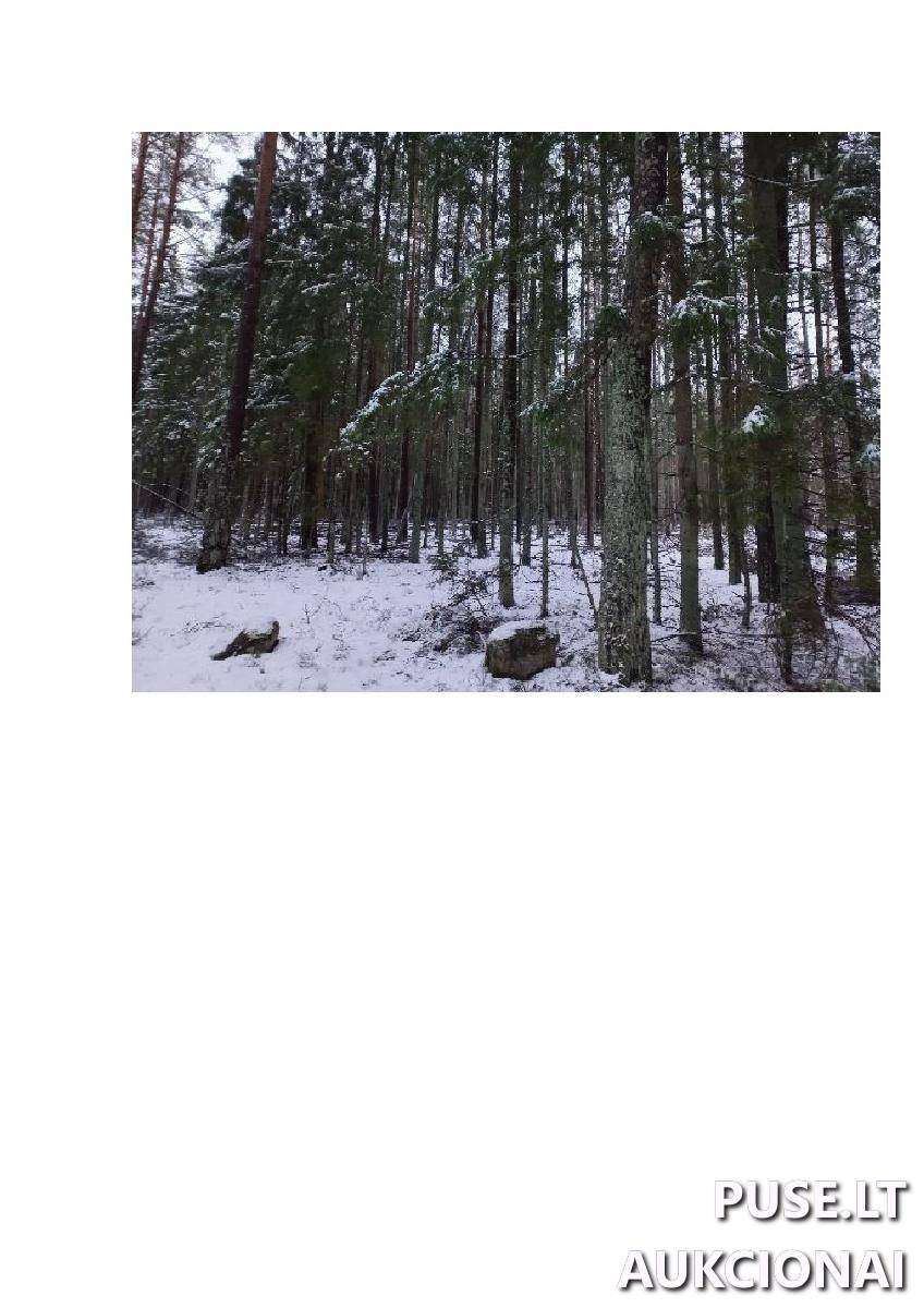 Žemės sklypas Sklypai Vergakiemis, Jakėnų sen., Varėnos r. sav. 9