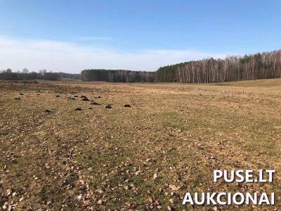 Žemės sklypas Molėtų rajone 16.5 ha, nuosavybės teisės 22800 EUR aukcione