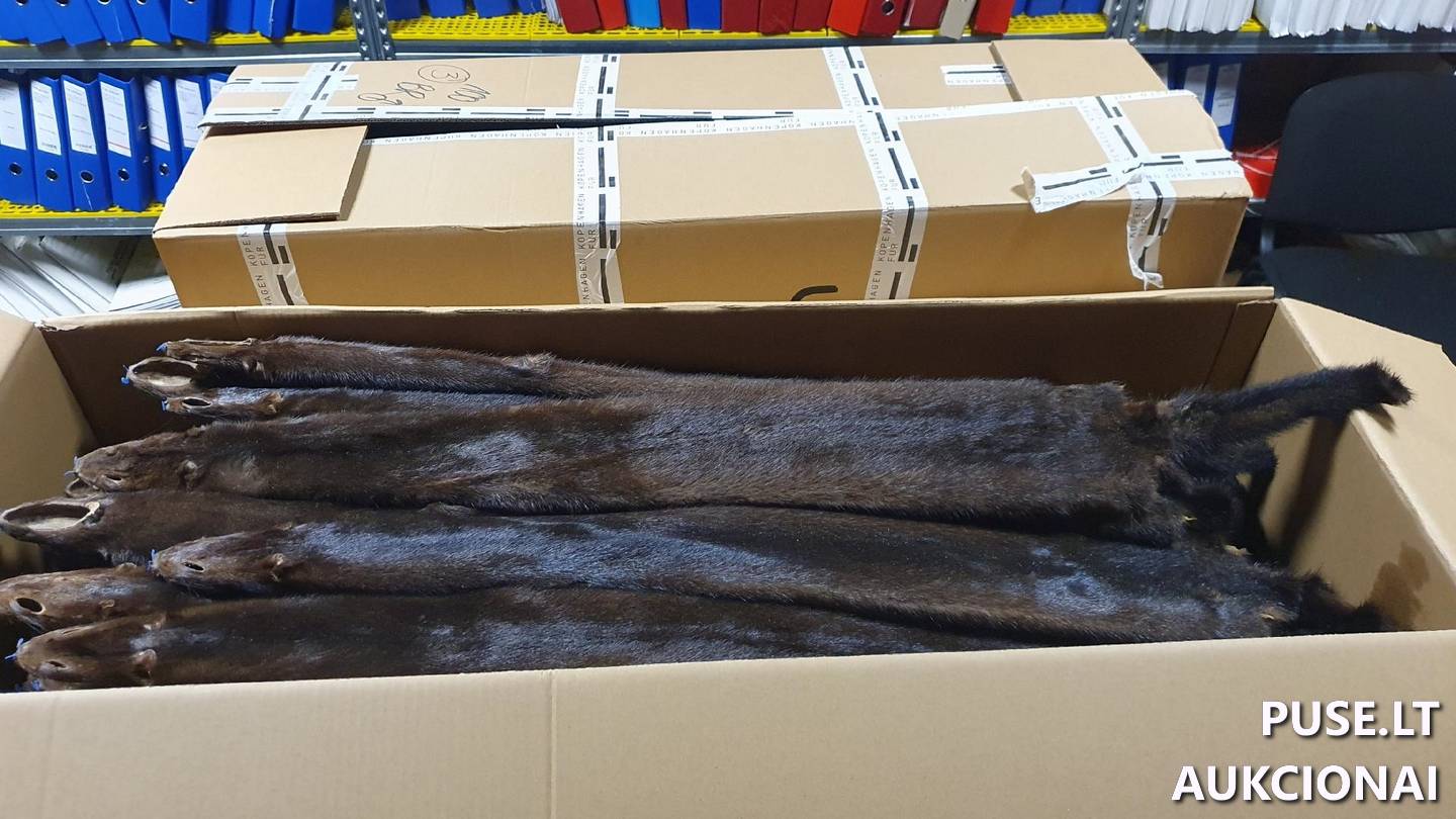 Audinių kailiai Kitas turtas 4