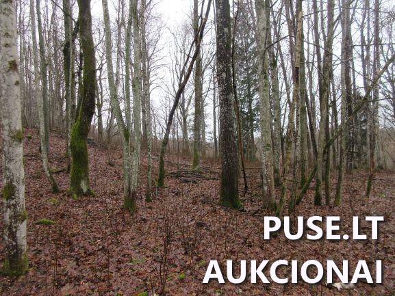 Žemės sklypas Sklypai Jucaičių g., Jucaičiai, Veiviržėnų sen., Klaipėdos r. sav. 1