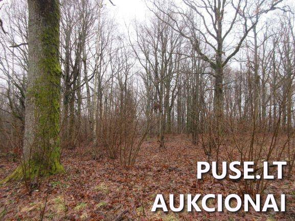 Žemės sklypas Sklypai Jucaičių g., Jucaičiai, Veiviržėnų sen., Klaipėdos r. sav. 2
