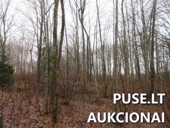 Žemės sklypas Sklypai Jucaičių g., Jucaičiai, Veiviržėnų sen., Klaipėdos r. sav. 3