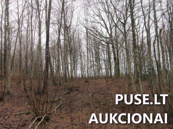 Žemės sklypas Sklypai Jucaičių g., Jucaičiai, Veiviržėnų sen., Klaipėdos r. sav. 4