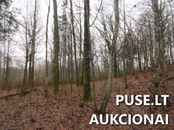 Žemės sklypas Sklypai Jucaičių g., Jucaičiai, Veiviržėnų sen., Klaipėdos r. sav. 5
