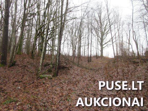 Žemės sklypas Sklypai Jucaičių g., Jucaičiai, Veiviržėnų sen., Klaipėdos r. sav. 6