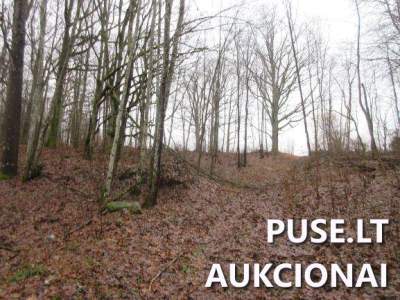 Parduodamas didelis 6.6423 ha žemės sklypas Klaipėdos rajone, Jucaičių kaime, pradinė kaina 31200 EUR