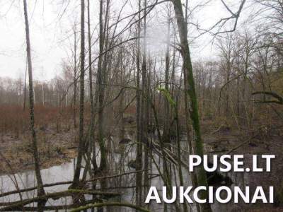 7.5 ha žemės ūkio paskirties sklypas Klaipėdos rajone, Jucaičių kaime, pradinė kaina 19920 EUR