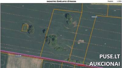 3.00 ha žemės ūkio paskirties sklypas Pakruojo rajone, Daunorių kaime, pradinė kaina 13760 EUR