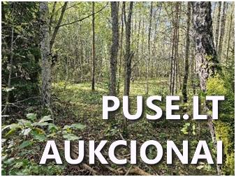 Žemės sklypas Sklypai Jacionys, Pabarės sen., Šalčininkų r. sav. 4