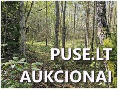 Žemės ūkio paskirties žemės sklypas Šalčininkų r. sav. Jacionių k., 10.34 ha, pradinė kaina 6840 EUR