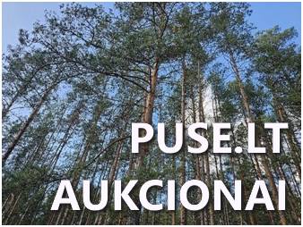 Žemės sklypas Sklypai Nevainionys, Pabarės sen., Šalčininkų r. sav. 1