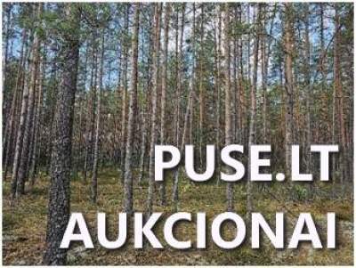 Parduodamas 4.38 ha miškų ūkio paskirties žemės sklypas Šalčininkų rajone, Nevainionių kaime, pradinė kaina 2512 EUR