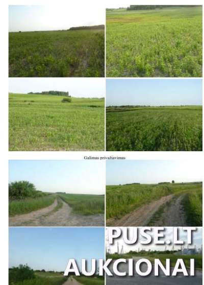 Žemės sklypas Vilniaus rajone, Maišiagalos miestelyje, pradinė kaina 3496 EUR