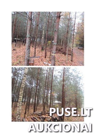 Gyvenamas namas Pastatai Vekonių g. 9, 56318 Kruonis, Kruonio sen., Kaišiadorių r. sav. 2