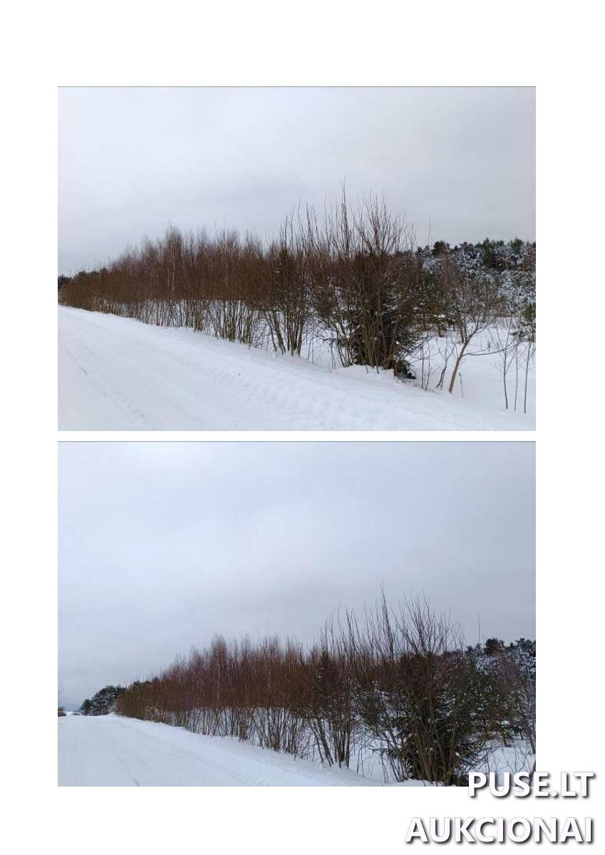 Žemės sklypas Sklypai Dotenėnų g., Dotenėnai, Švenčionėlių sen., Švenčionių r. sav. 5