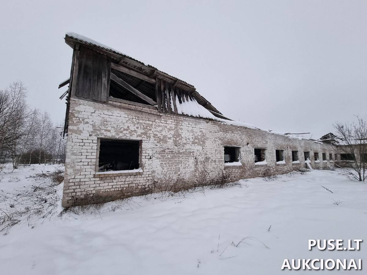 Karvidė Pastatai Sodžiaus g. 2, 20205 Bajorai, Želvos sen., Ukmergės r. sav. 2