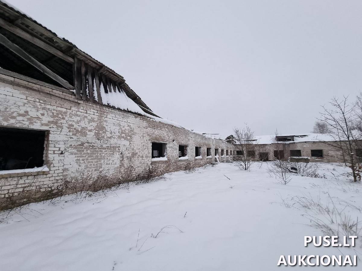 Karvidė Pastatai Sodžiaus g. 2, 20205 Bajorai, Želvos sen., Ukmergės r. sav. 8