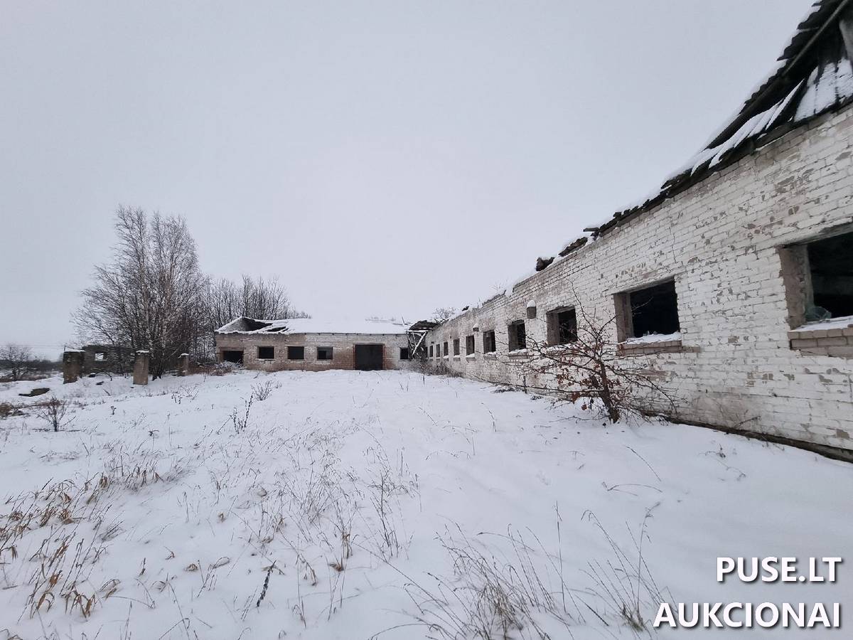 Karvidė Pastatai Sodžiaus g. 2, 20205 Bajorai, Želvos sen., Ukmergės r. sav. 14