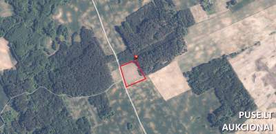 Žemės sklypas Varėnos r. sav., Gojaus k., parduodamas aukcione, pradinė kaina 2960 EUR