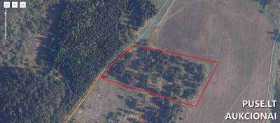 Parduodamas žemės ūkio sklypas Radviliškio r. sav. Grigalaičių k. nuo 1960 EUR