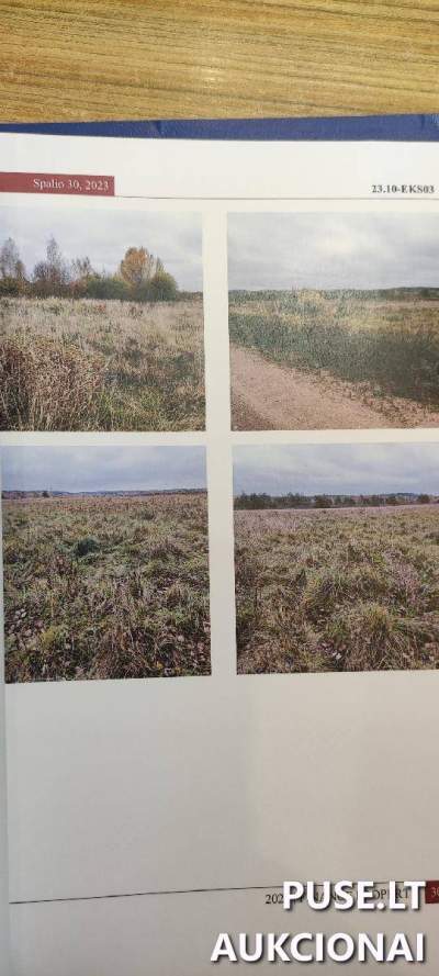 Žemės ūkio paskirties sklypo dalis Vilniaus rajone, Pagirių kaime, pradinė kaina 1600 EUR