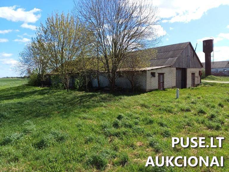 Daržovių sandėlis Pastatai Turgaus g. 51, 60124 Raseiniai, Raseinių miesto sen., Raseinių r. sav. 7