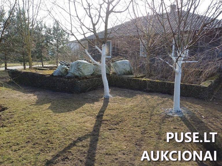 Bendrabutis Pastatai Pušyno g. 2B, 67424 Naujoji Kirsna, Šeštokų sen., Lazdijų r. sav. 9