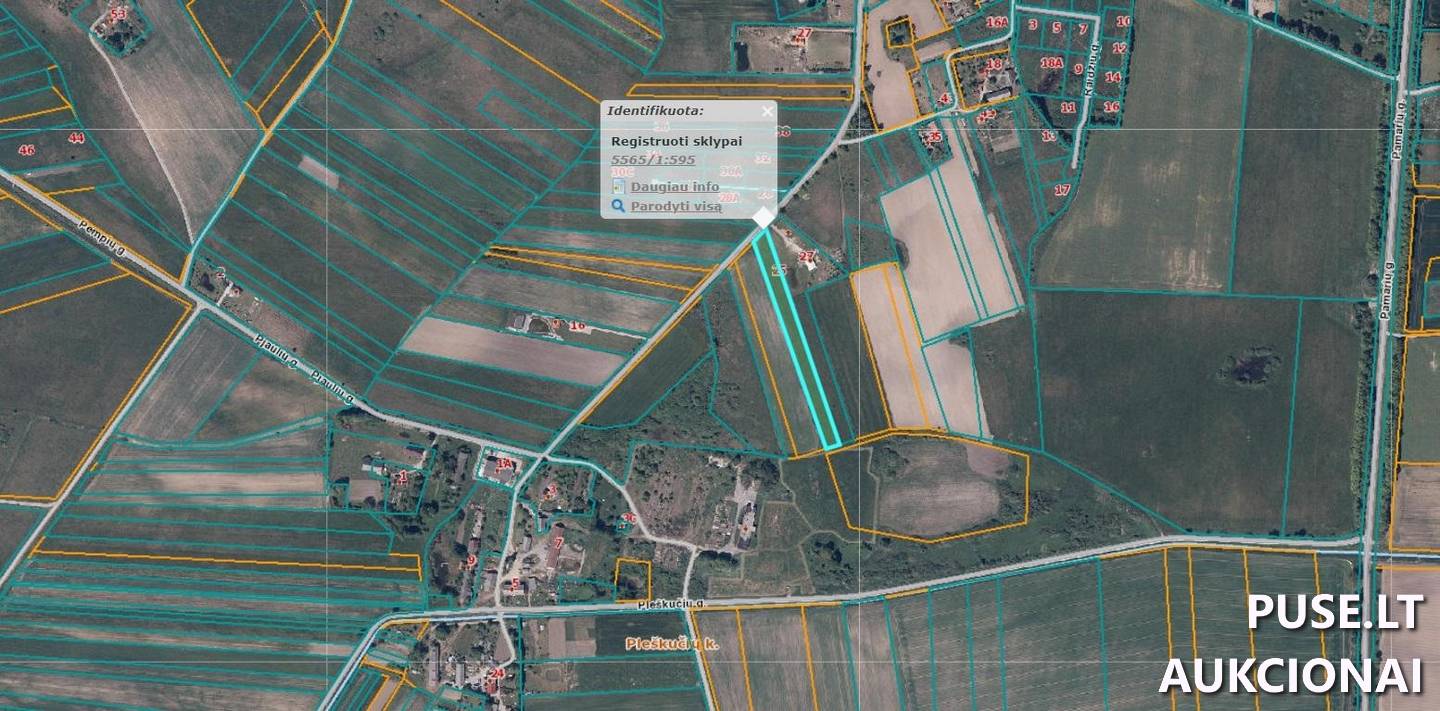 Žemės sklypas Sklypai Pjaulių g. 25, 96344 Pjauliai, Priekulės sen., Klaipėdos r. sav. 4