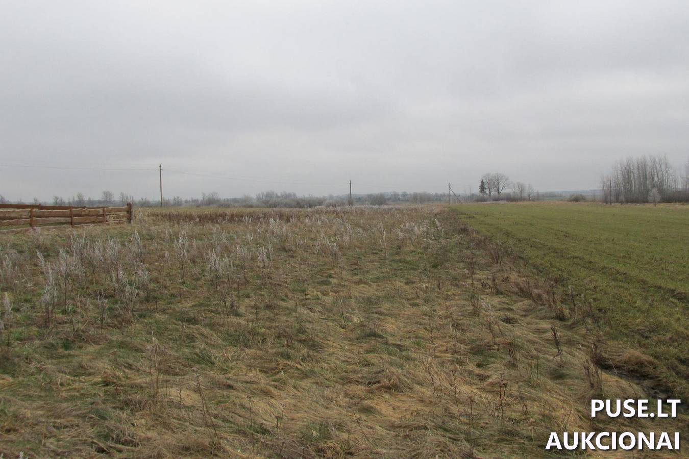 Žemės sklypas Sklypai Pjaulių g. 25, 96344 Pjauliai, Priekulės sen., Klaipėdos r. sav. 6