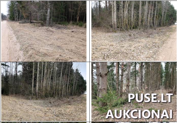 Žemės sklypas Sklypai Pakarklys, Ariogalos sen., Raseinių r. sav. 1