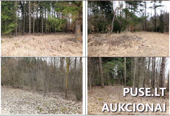 Žemės sklypas Sklypai Pakarklys, Ariogalos sen., Raseinių r. sav. 2