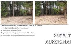 Sklypai - Žemės sklypas