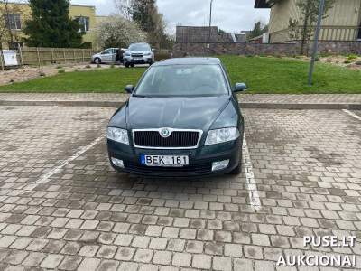 Žemai laukiamas Škoda Octavia automobilis benzinu 200 EUR aukcione