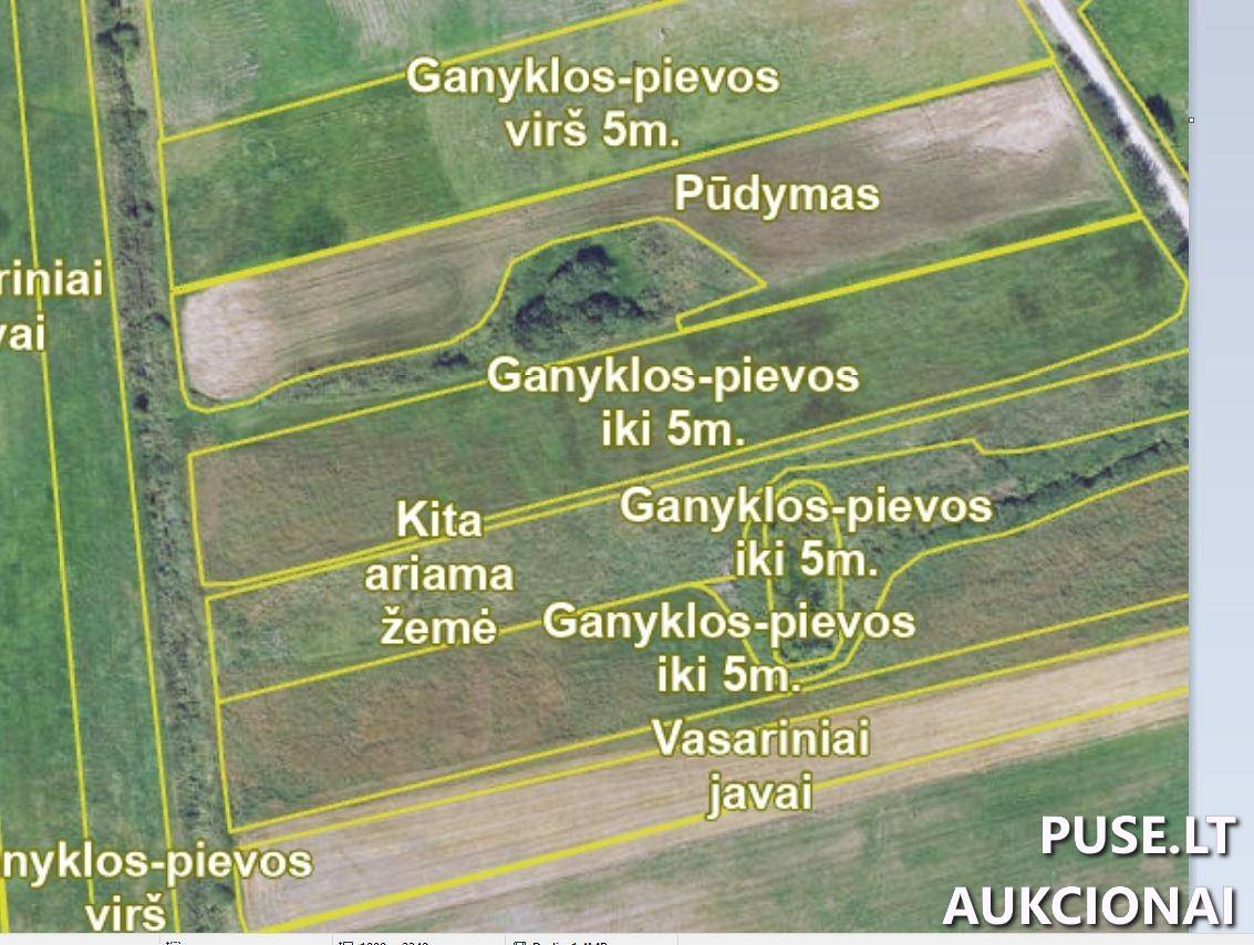Žemės sklypas Sklypai Papušynys, Šaukoto sen., Radviliškio r. sav. 1