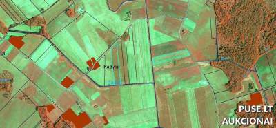 Žemės ūkio sklypas Radviliškio r. Papušynio k. su 39.1 našumo balu, pradinė kaina 1920 EUR