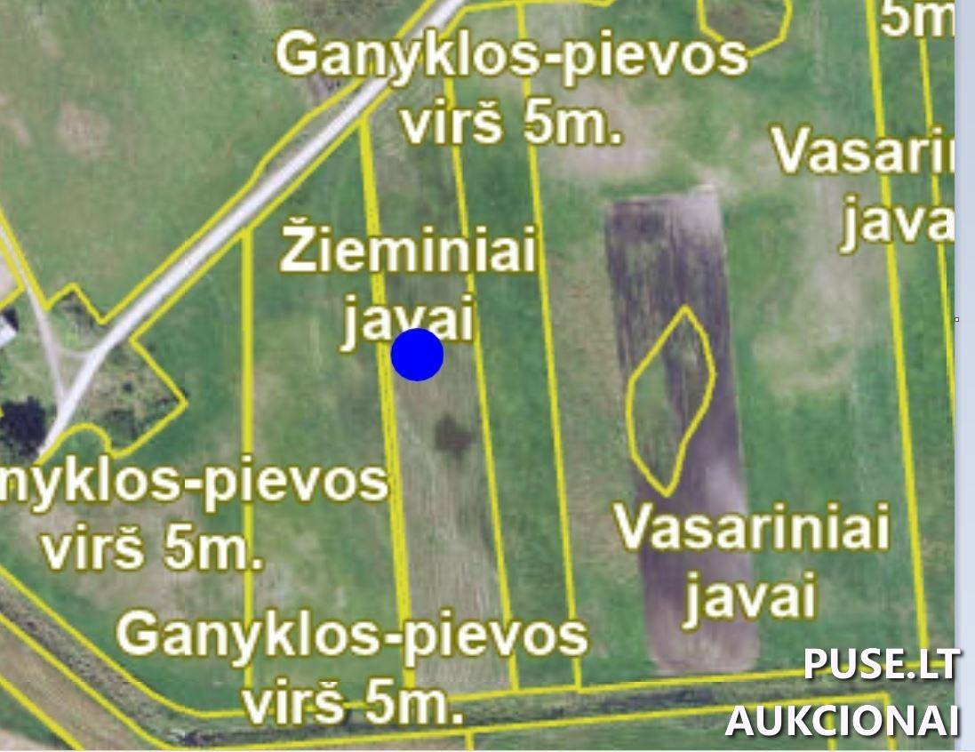 Žemės sklypas Sklypai Papušynys, Šaukoto sen., Radviliškio r. sav. 1