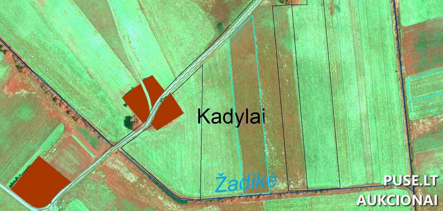 Žemės sklypas Sklypai Papušynys, Šaukoto sen., Radviliškio r. sav. 2
