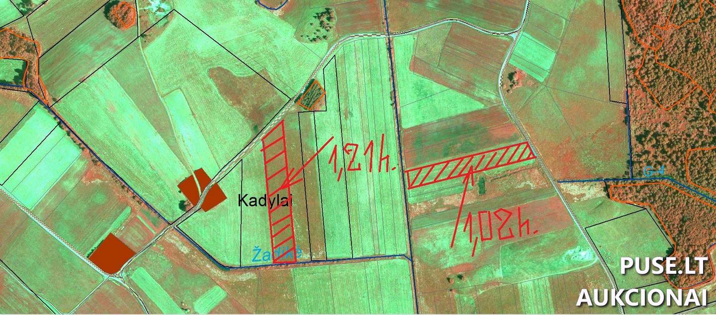 Žemės sklypas Sklypai Papušynys, Šaukoto sen., Radviliškio r. sav. 4