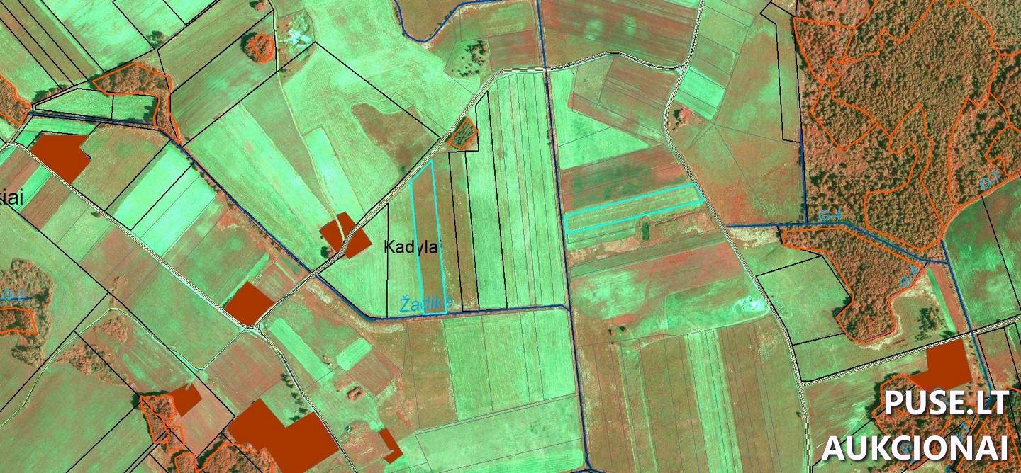 Žemės sklypas Sklypai Papušynys, Šaukoto sen., Radviliškio r. sav. 5