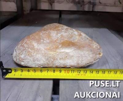 18,745 kg neapdoroto Baltijos gintaro aukcionas nuo 6064 EUR Pabaltijo regione