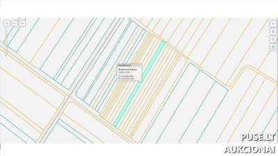 1/2 dalis žemės ūkio paskirties sklypo Šiaulių r. sav. 229 EUR pradinė kaina