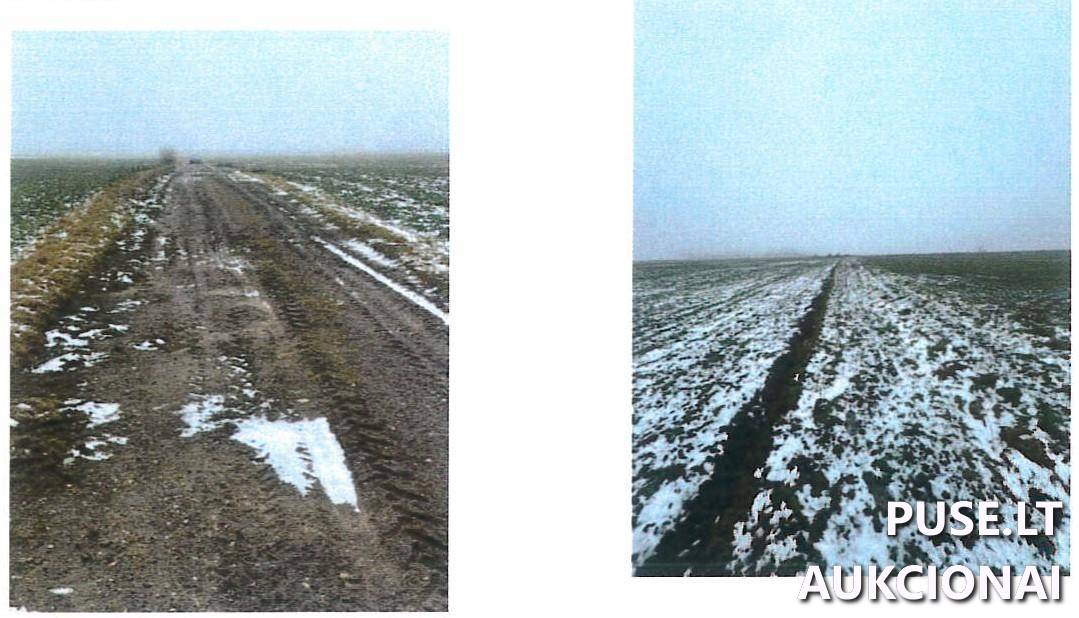 Žemės sklypas Sklypai Giedriai, Jurbarkų sen., Jurbarko r. sav. 1