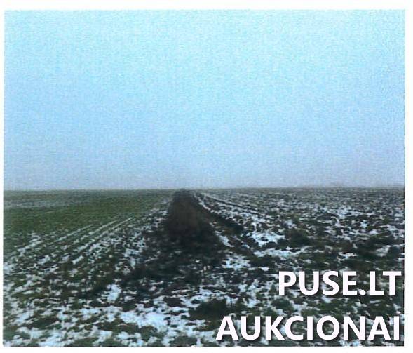 Žemės sklypas Sklypai Giedriai, Jurbarkų sen., Jurbarko r. sav. 3