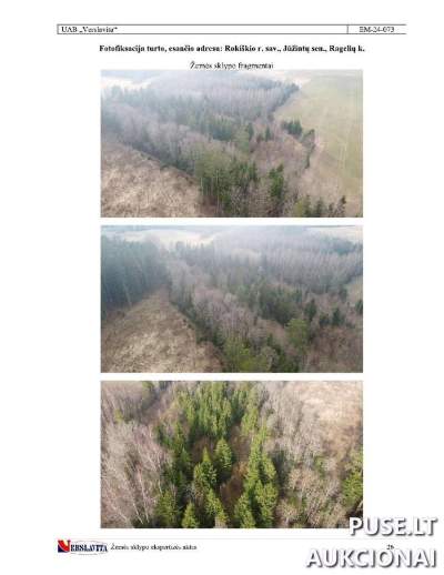 Miškų ūkio paskirties žemės sklypas Rokiškio r. sav., Ragelių k., 1.62 ha, pradinė kaina 5200 EUR