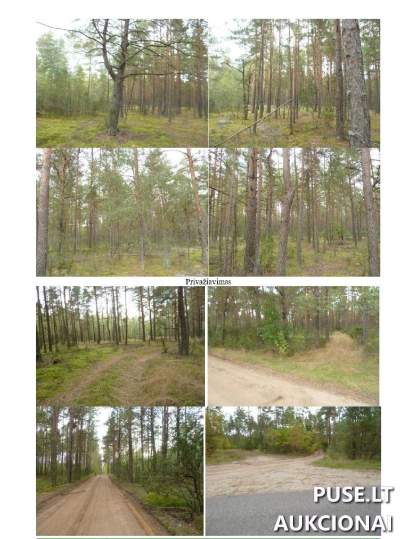 Miškų ūkio paskirties žemės sklypo dalis Druskininkų sav., Jaskonių k. 1980 EUR