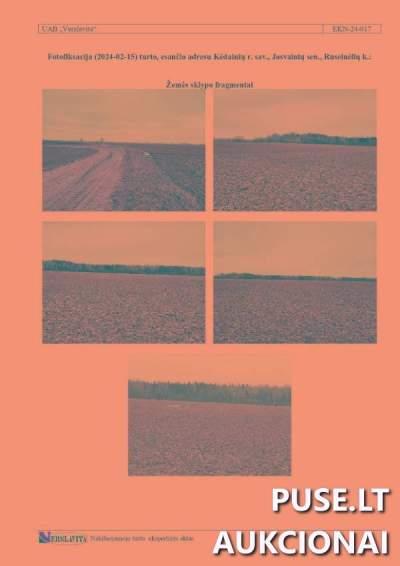 Žemės ūkio paskirties sklypas Kėdainių r., Ruseinėlių k., 1/2 dalis, pradinė kaina 4800 EUR