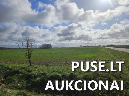 Žemės sklypas Sklypai Mančiai, Darbėnų sen., Kretingos r. sav. 8