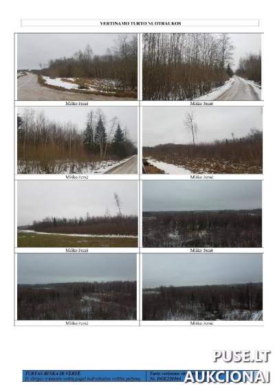 Žemės sklypas Rokiškio r. sav., Ratkupio k., miškų ūkio paskirties, pradinė kaina 16260 EUR