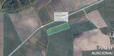 1/10 Dalis Žemės Ūkio Paskirties Sklypo Klaipėdos rajone, Žvaginių kaime, nuo 125 EUR